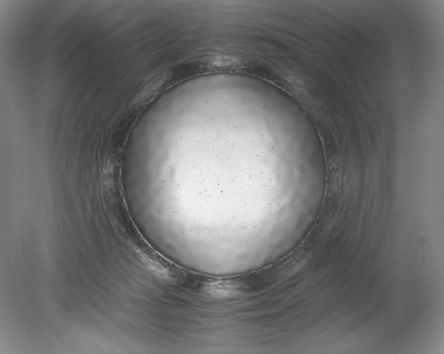 X0000080730269200701021128