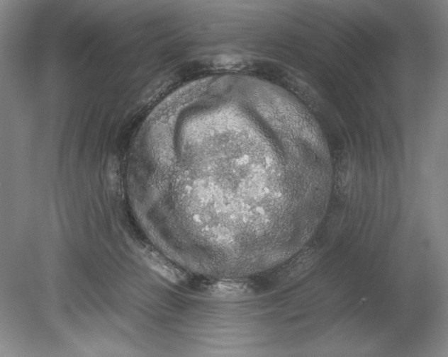 X0000080730270200701021128