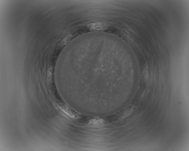 X0000080730271200701021128