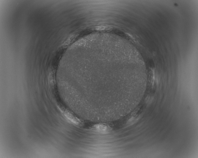 X0000080730272200701021128