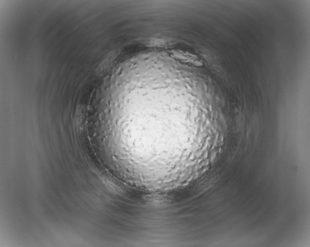 X0000080730273200701021128