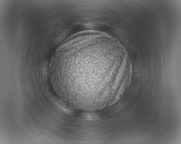 X0000080730275200701021128