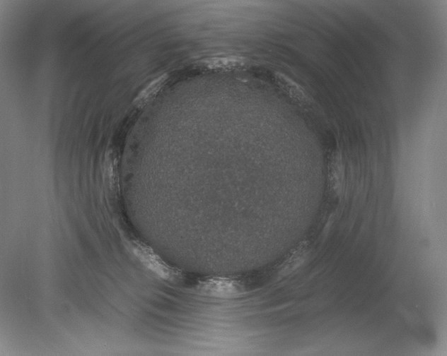 X0000080730276200701021128