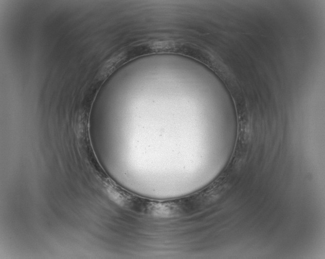 X0000080730277200701021129