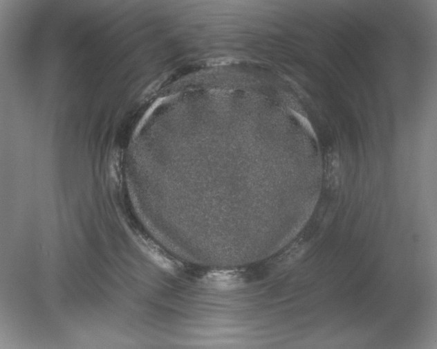 X0000080730280200701021129