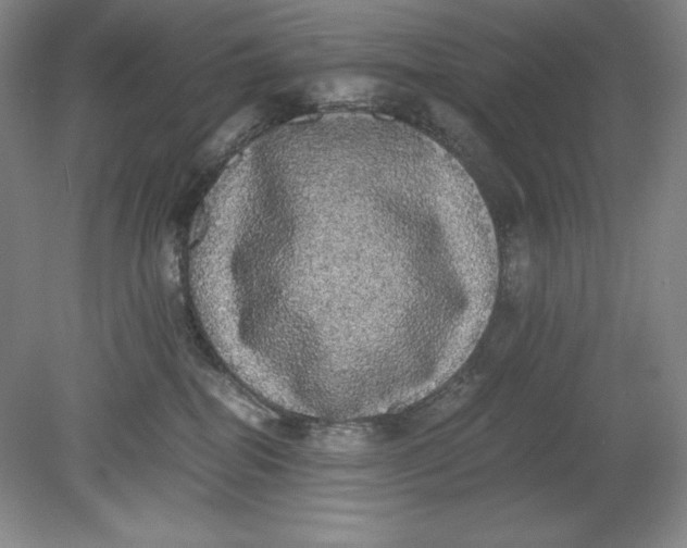 X0000080730282200701021129