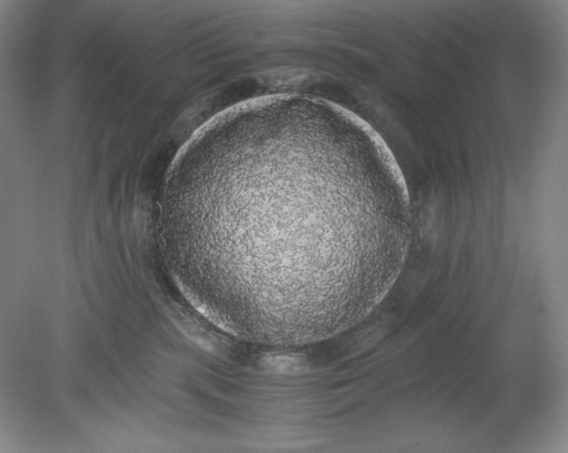 X0000080730283200701021129