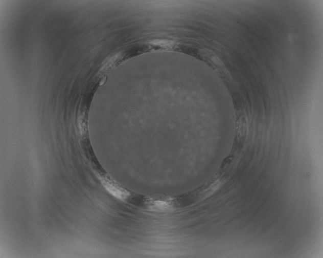 X0000080730285200701021129