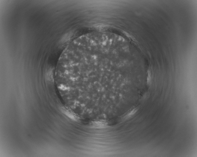 X0000080730286200701021129