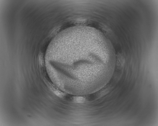 X0000080730287200701021129