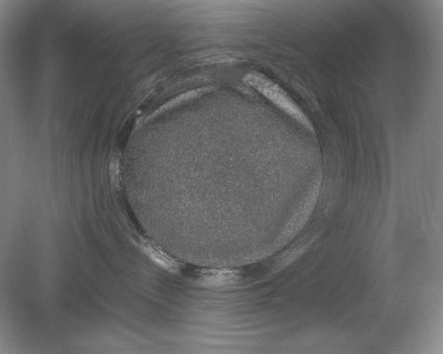 X0000080730288200701021129