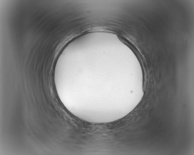 X0000080730289200701021128