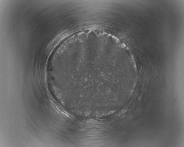 X0000080730290200701021128