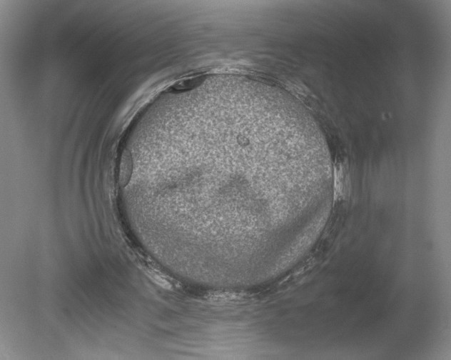 X0000080730291200701021128