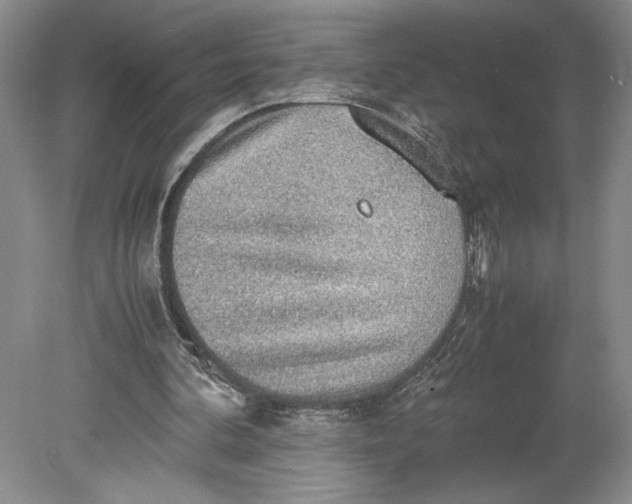 X0000080730292200701021128