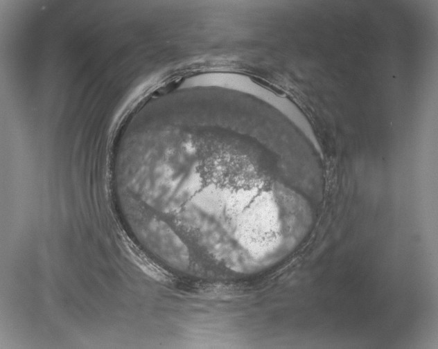 X0000080730293200701021128