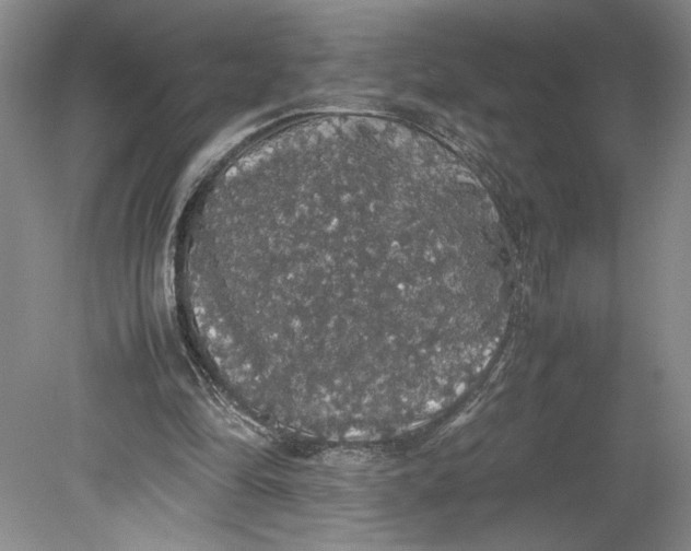 X0000080730294200701021128