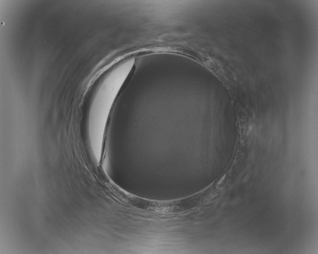 X0000080730295200701021128