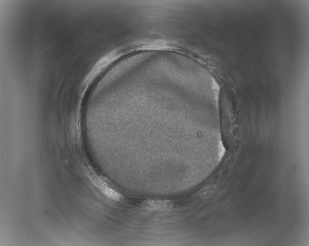 X0000080730296200701021128