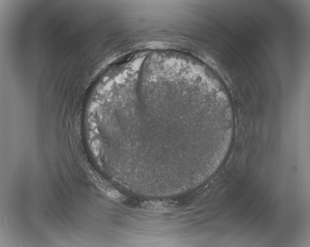 X0000080730297200701021128