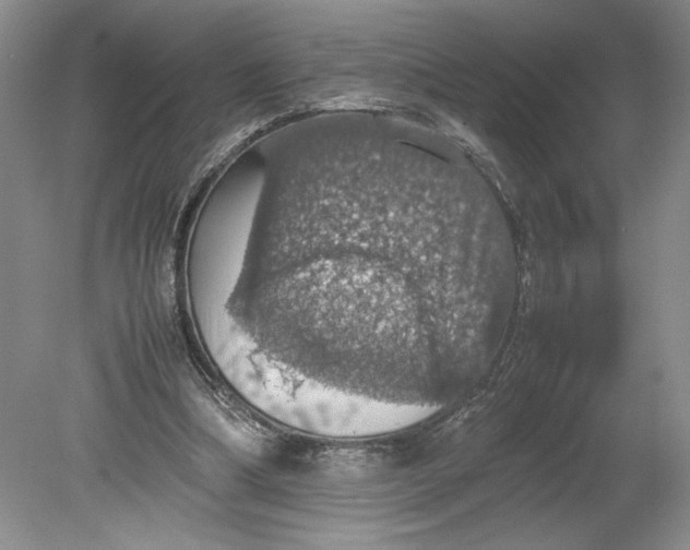 X0000080730298200701021128