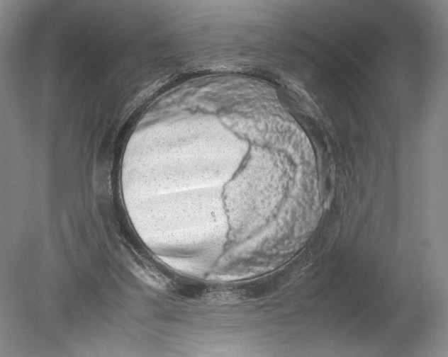 X0000080730299200701021128