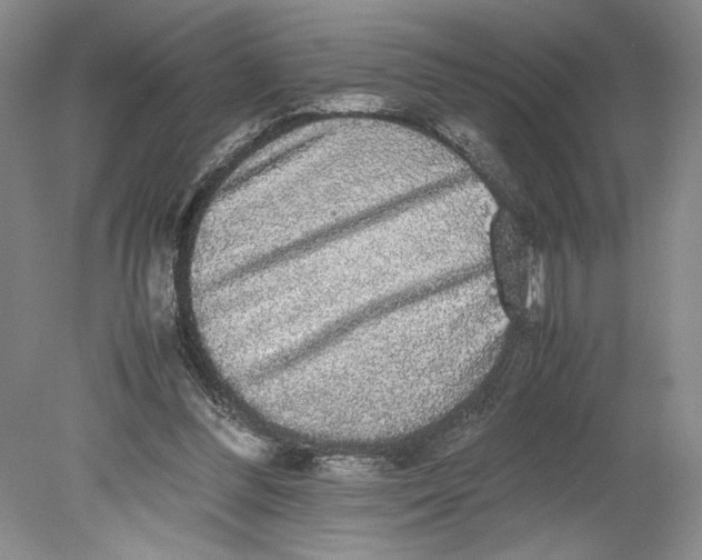 X0000080730300200701021128