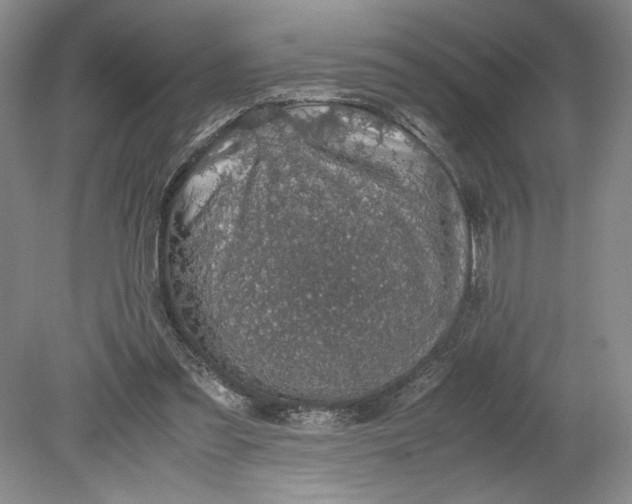 X0000080730301200701021128