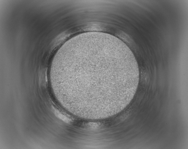 X0000080730302200701021128