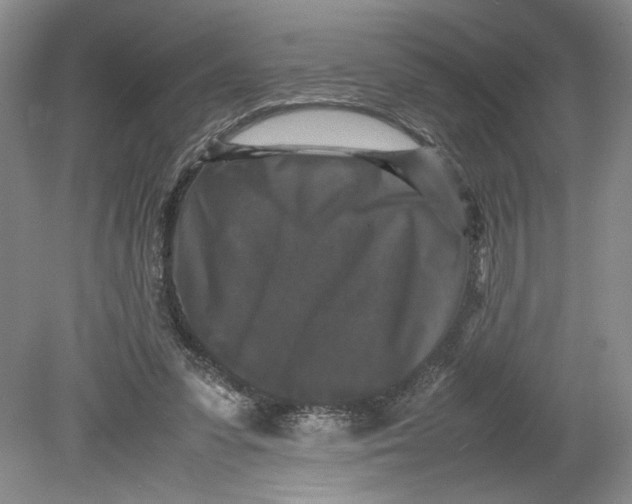 X0000080730303200701021128