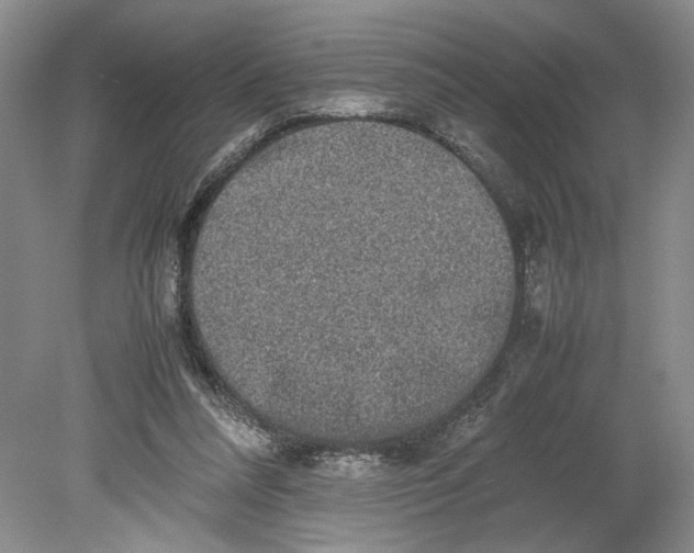 X0000080730304200701021128