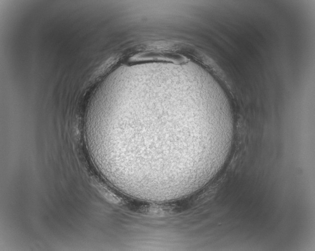 X0000080730305200701021128