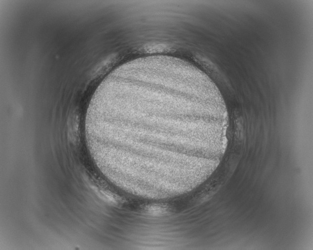 X0000080730308200701021128