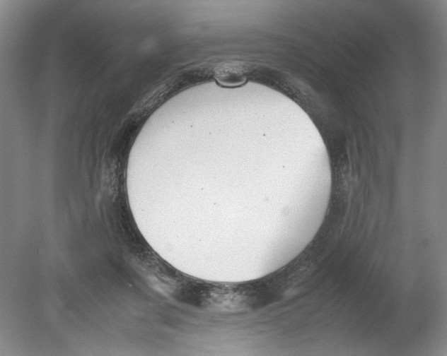 X0000080730311200701021128