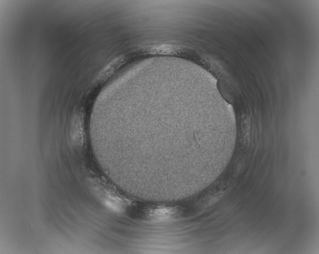 X0000080730312200701021128