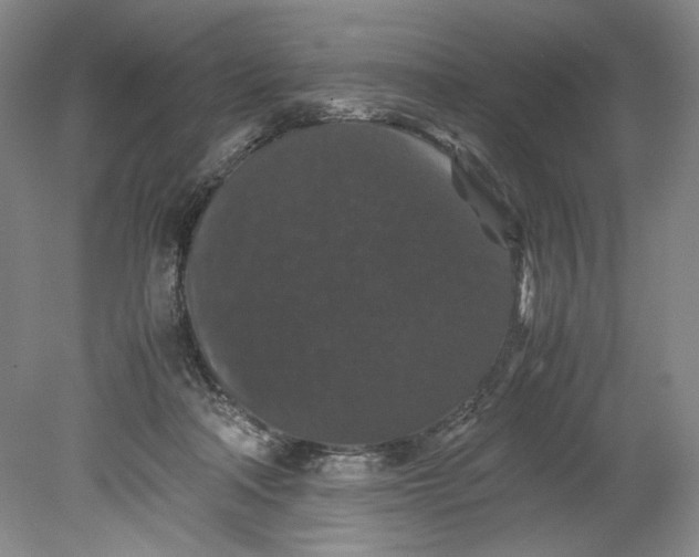 X0000080730314200701021127