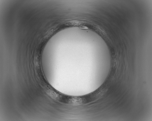 X0000080730317200701021127