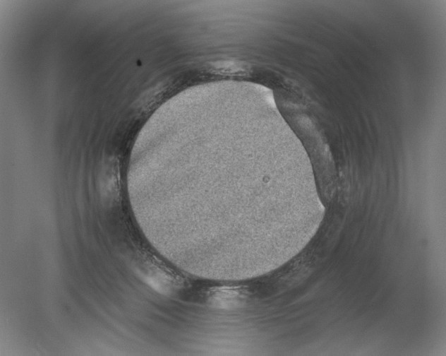 X0000080730320200701021127