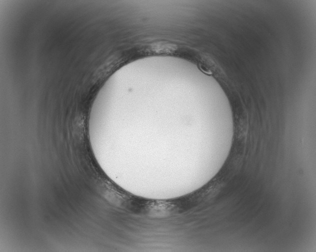 X0000080730321200701021127