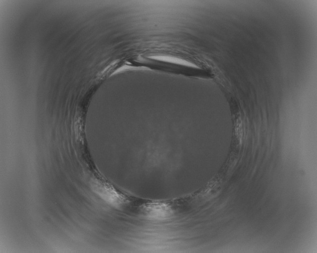 X0000080730322200701021127