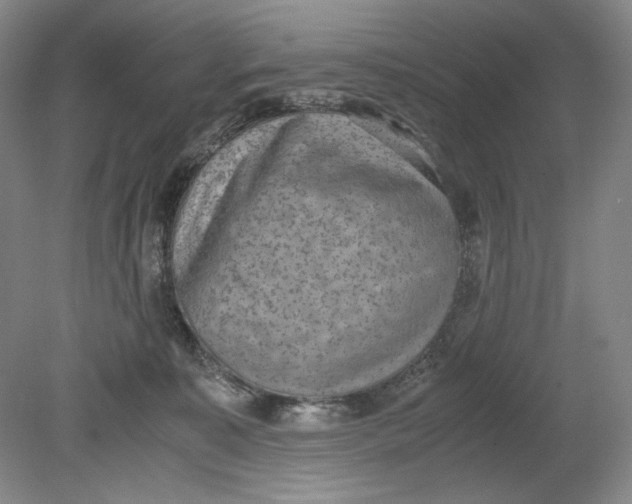 X0000080730323200701021127