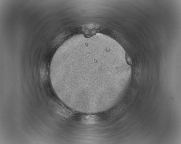 X0000080730324200701021127