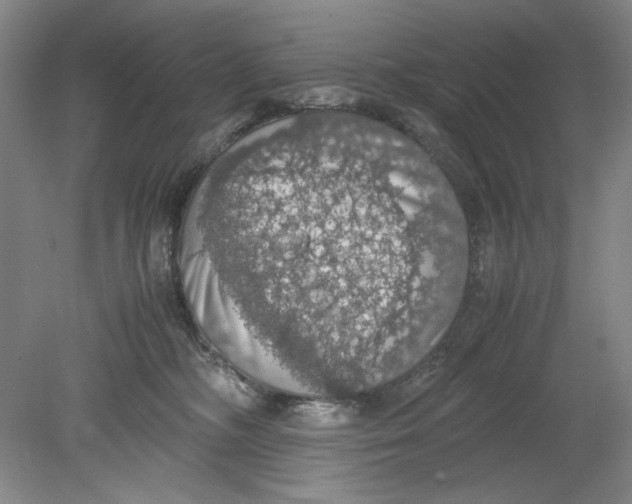 X0000080730326200701021127