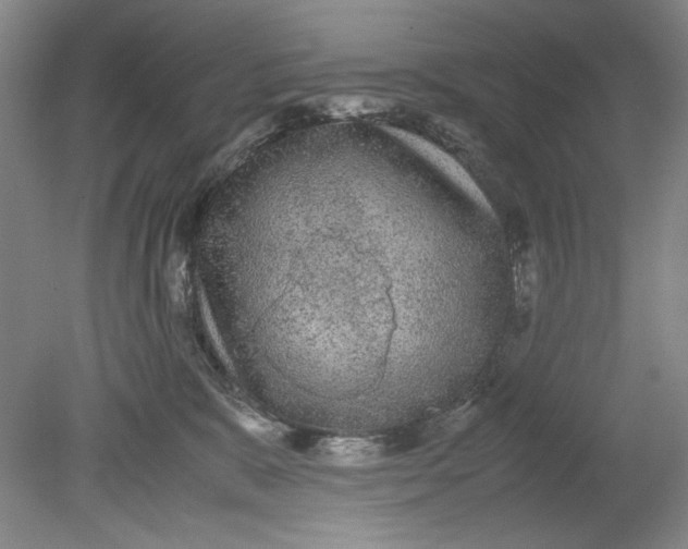 X0000080730327200701021127