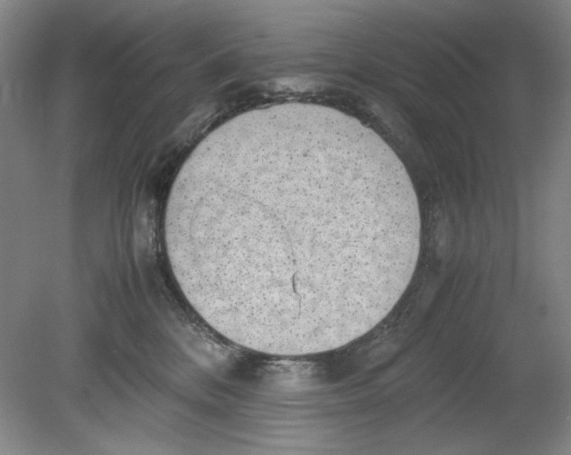 X0000080730328200701021127