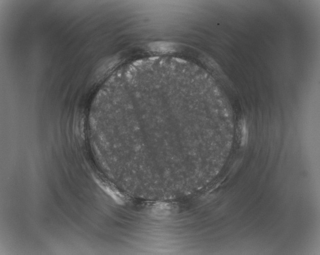 X0000080730330200701021127