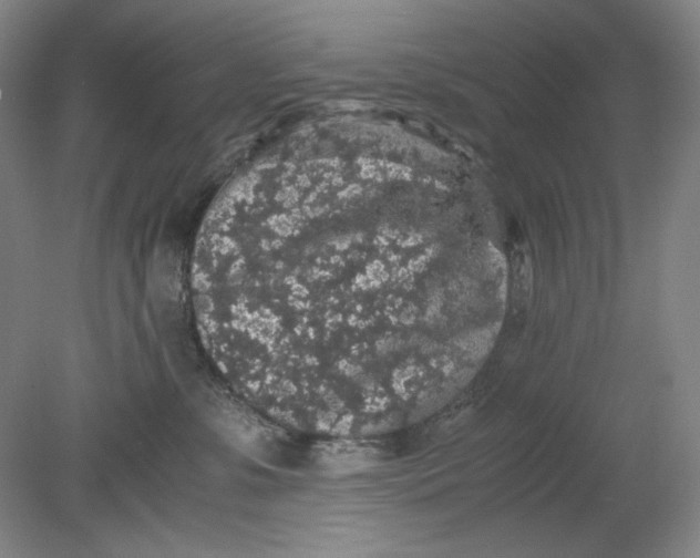 X0000080730331200701021127