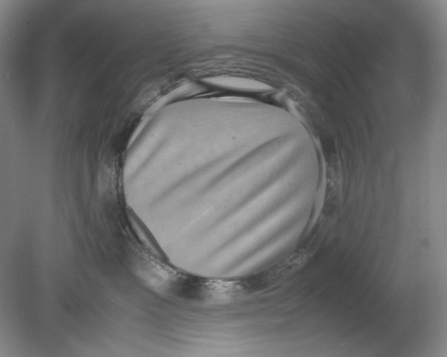 X0000080730333200701021127