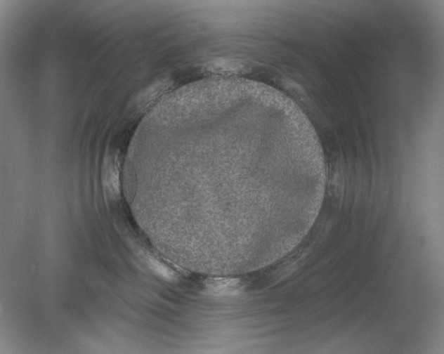 X0000080730334200701021127