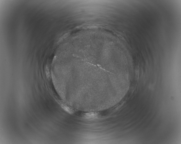 X0000080730335200701021127